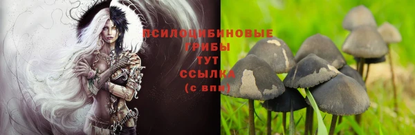 СК Белоозёрский