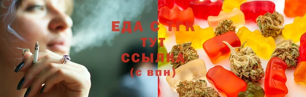 ГАЛЛЮЦИНОГЕННЫЕ ГРИБЫ Белокуриха