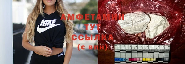 ГАЛЛЮЦИНОГЕННЫЕ ГРИБЫ Белокуриха