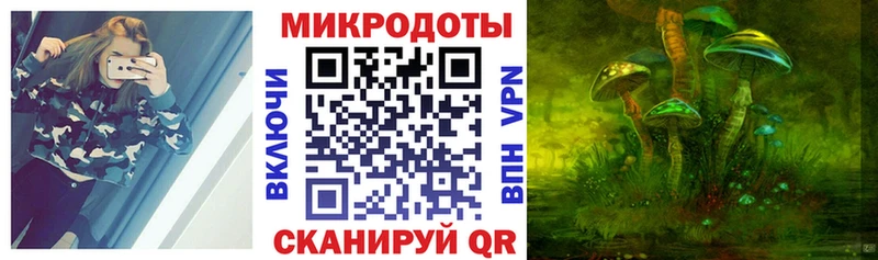 Псилоцибиновые грибы Cubensis Онега